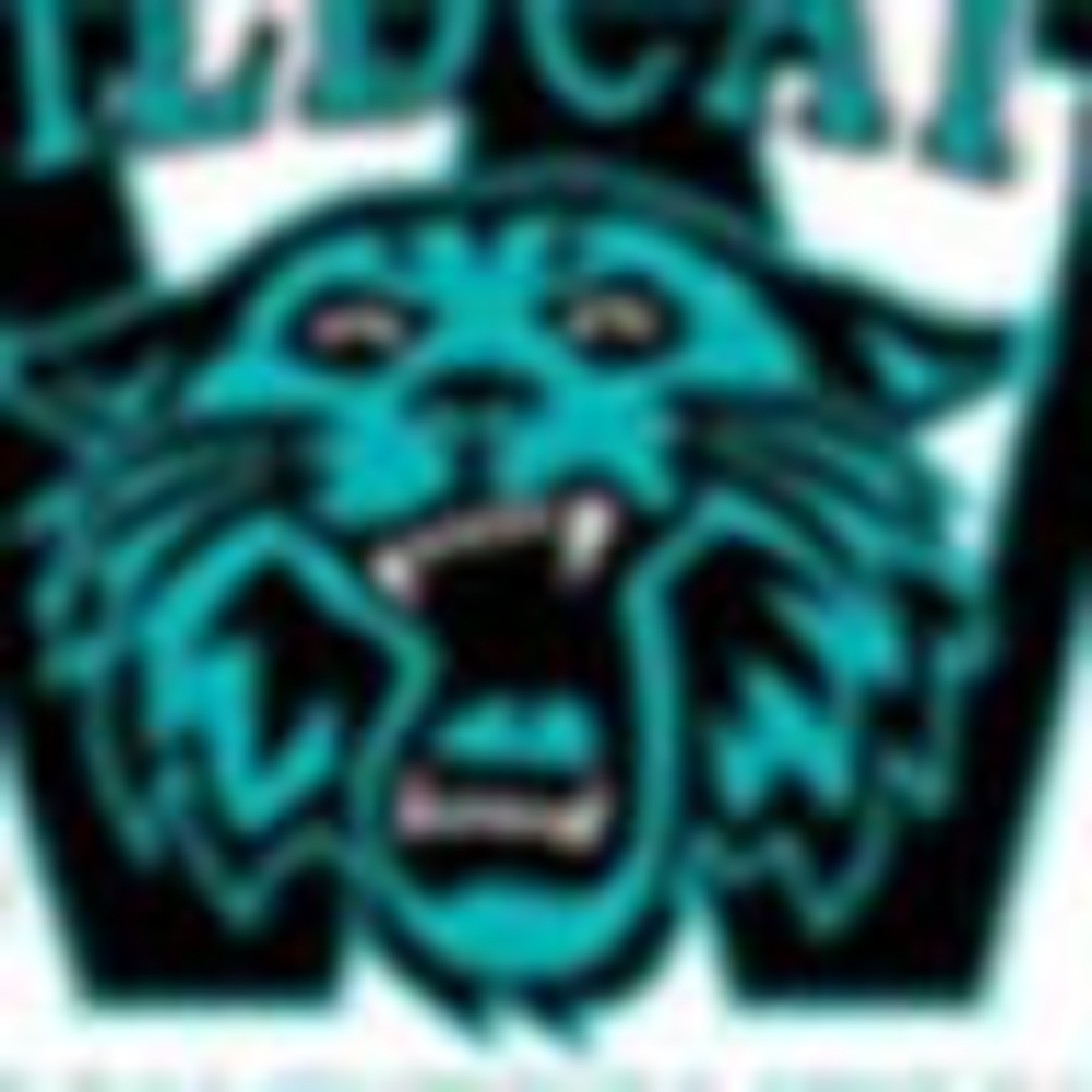 Meet your Posher, Henry